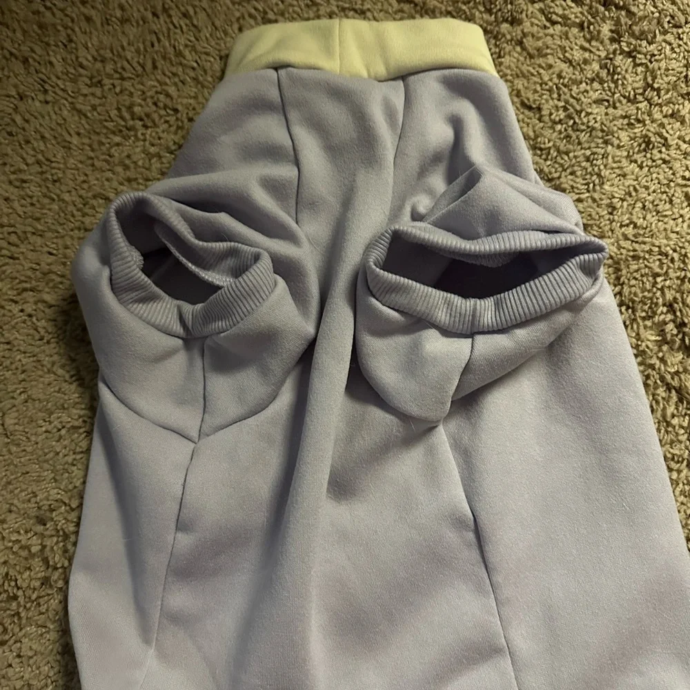 Lavender Stripe Dog Hoodie - Soft Pullover Sweatshirt